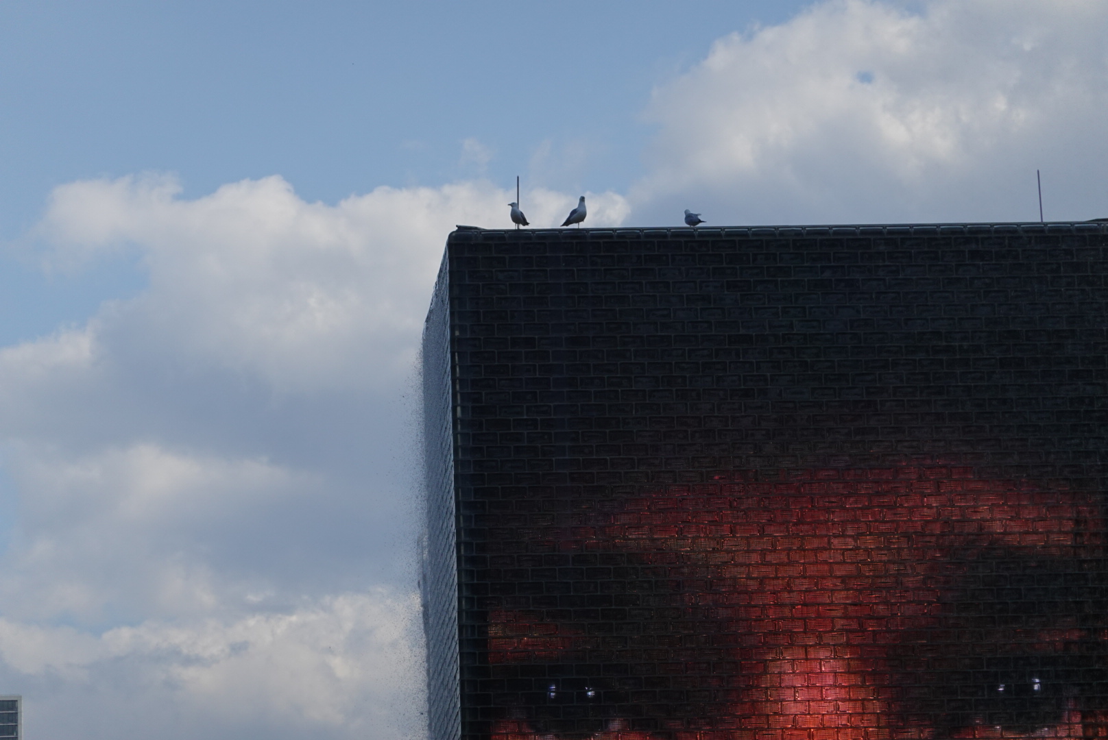 Eyes on a building in Chicago