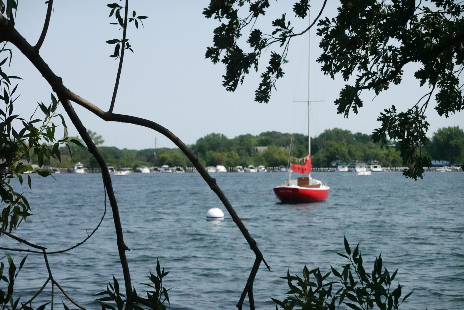 Shot of small red sailboat, Red Ink, in the water framed by the trees