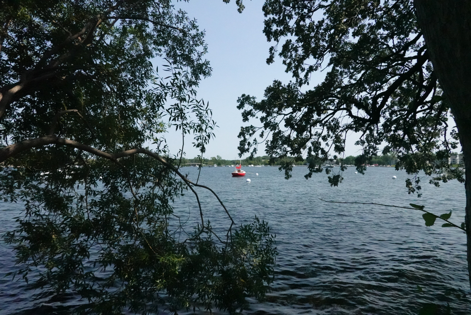 Shot of small red sailboat, Red Ink, in the water and centered