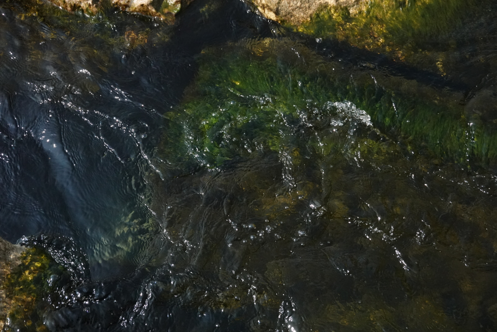 Mossy rocks in the water at Montrose Moonrise Vista Point